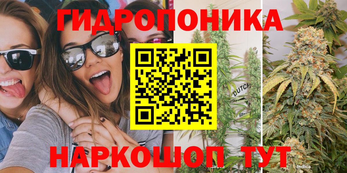Шишки марихуана семена Пыть-Ях